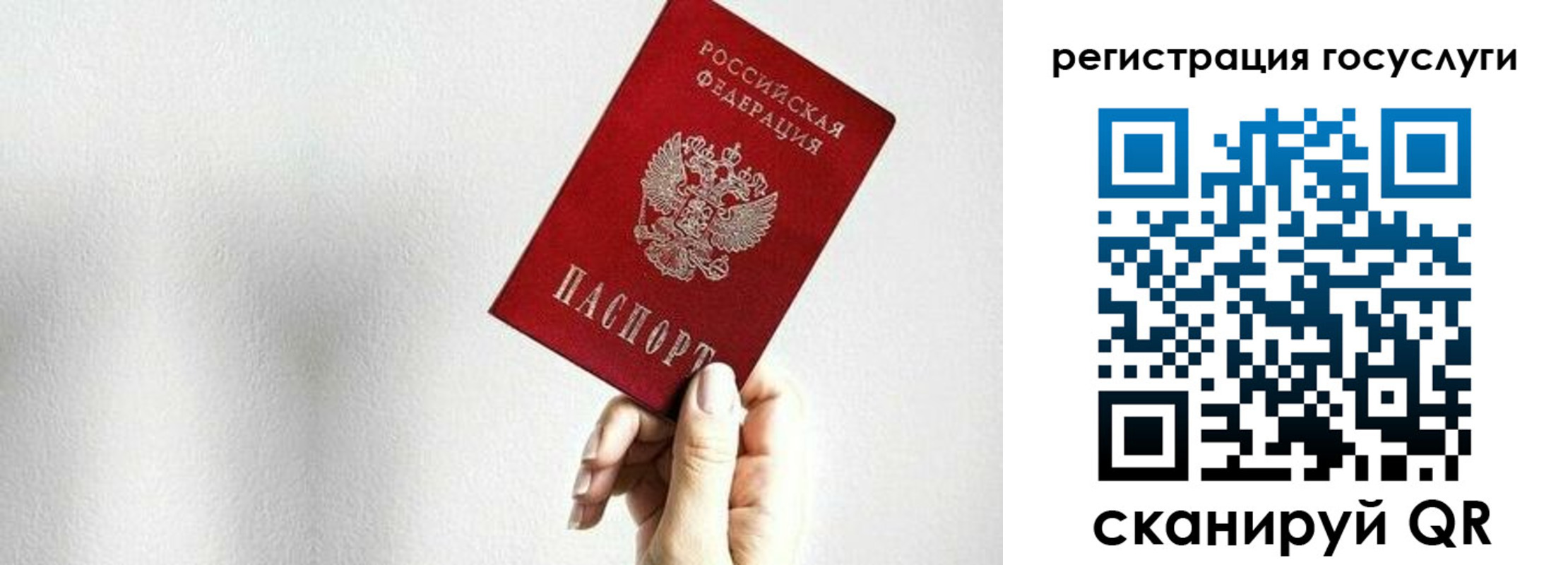 прописка гарантия в Муроме